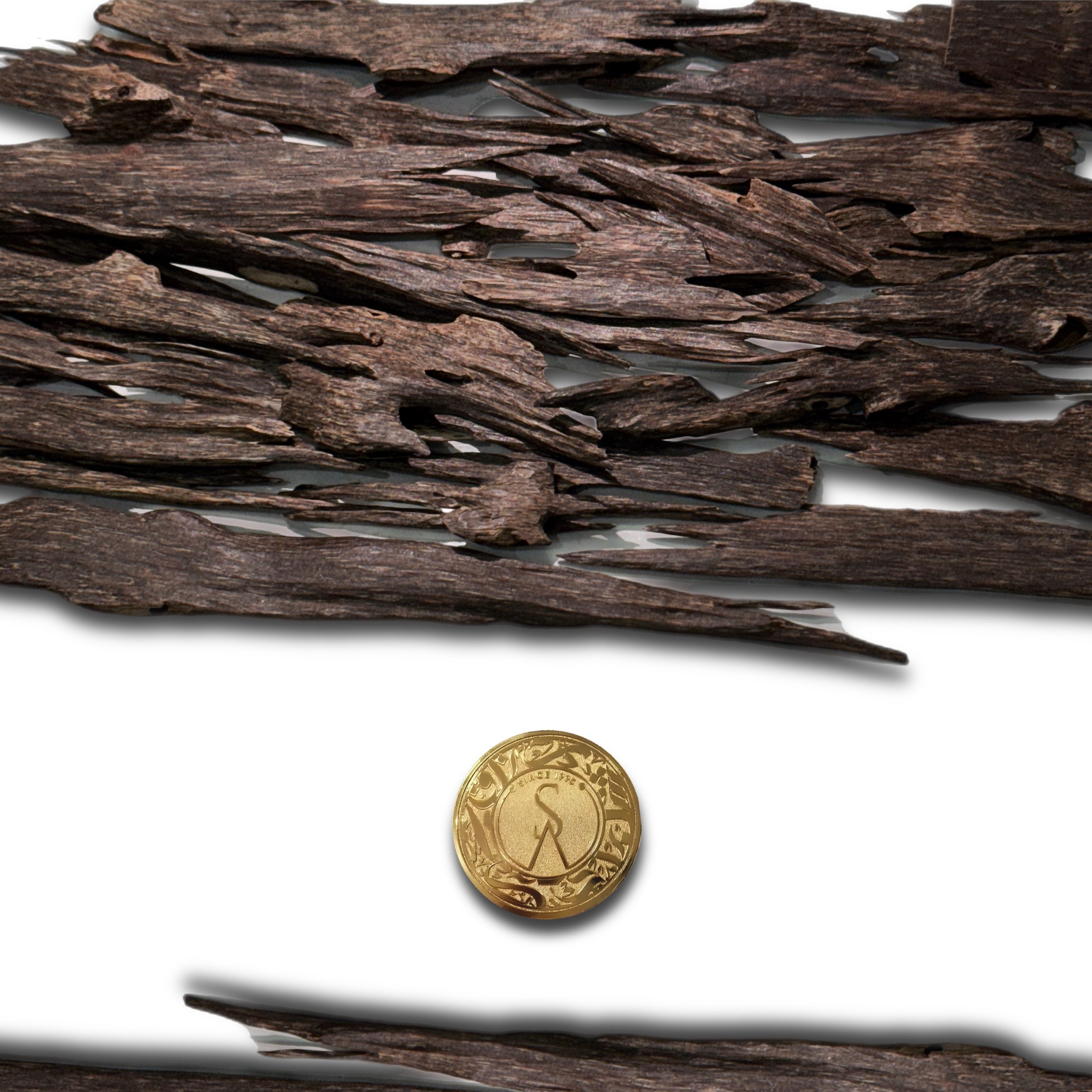 Nagaland Flat Zura VVIP